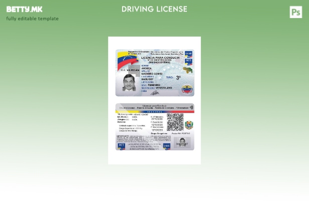 Модерен стил Венецуела возачка дозвола присутен шаблон 1